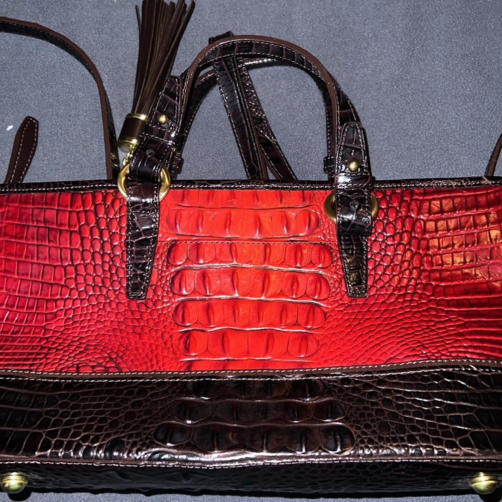 Brahmin - Picture 7 of 9